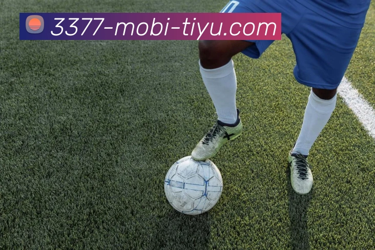 3377体育发展历程